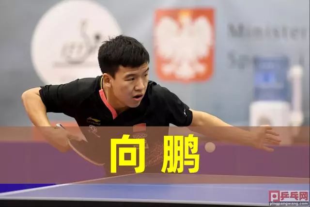 它所投入的 它所投入的